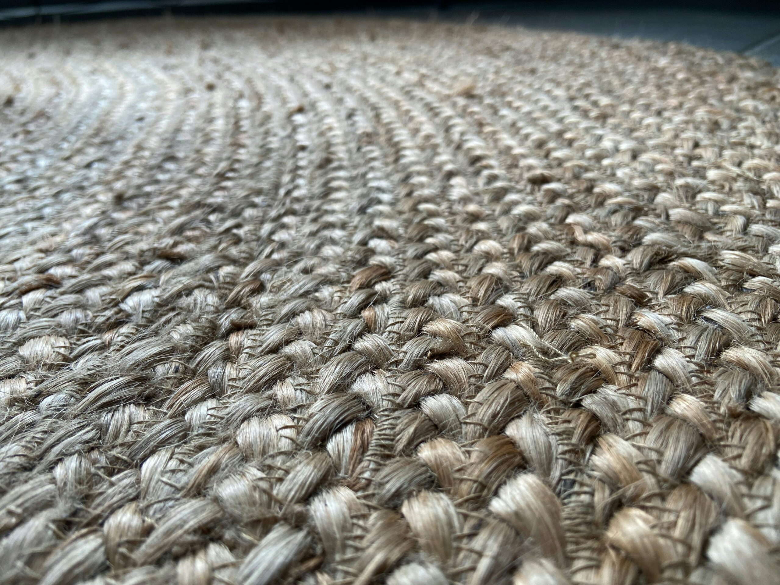 5 zaskakujących faktów o owcach i ich runie